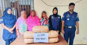 চাঁদপুরে গাঁজাসহ ৩ নারী গ্রেফতার