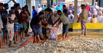 অভিযানে জব্দ ৮ হাজার কেজি জাটকা গেলো এতিমখানায়