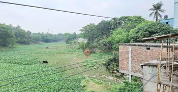 দখল-দূষণে প্রমত্তা ‘চিত্রা’ এখন মরা নদী