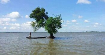 ১৪ কোটি টাকার প্রকল্পে পরামর্শক ব্যয় ৮ কোটি!