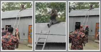 পুলিশ আসায় চোর টিনের চালে, নামালো ফায়ার সার্ভিস