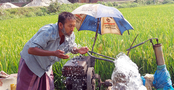 সর্বোচ্চ তাপমাত্রায় পুড়ছে চুয়াডাঙ্গা
