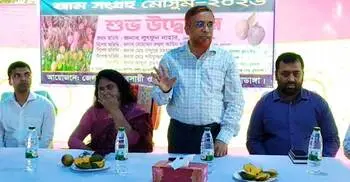 চুয়াডাঙ্গায় আম সংগ্রহ শুরু, ফরমালিন মেশালে কঠোর ব্যবস্থা