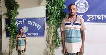 চুয়াডাঙ্গায় অর্ধশত গাঁজার গাছসহ চাষি আটক