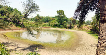 আজও দেশের সর্বোচ্চ তাপমাত্রা চুয়াডাঙ্গায়