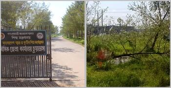 ৪২ কোটি টাকার বিসিকে কারখানা চলে ৩টি, বাকি সব আগাছা