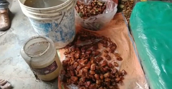 চুয়াডাঙ্গায় পচা খেজুর বিক্রি, জরিমানা