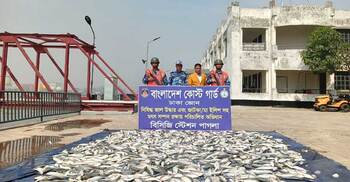 চাঁদপুরে ১৩০ মণ জাটকা দুস্থদের মাঝে বিতরণ