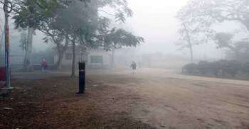 Mild to moderate cold wave in 2 districts