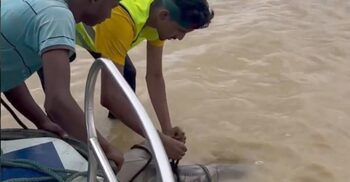 বন্যার পানিতে ভেসে এলো মরদেহ