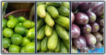 লেবু-শসার দাম কমলেও চড়া বেগুন