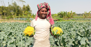 ভ্যালেন্টিনা-ক্যারোটিনা ফুলকপিতে কৃষকের বাজিমাত