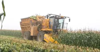 US farmers to plant less corn as Iran war drives up fertiliser costs