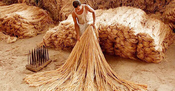 India restricts import of jute products from Bangladesh via land ports