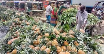 ৭৬০ কোটি টাকার আনারস বাণিজ্যের সম্ভাবনা