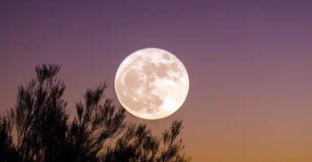 চাঁদ না থাকলে পৃথিবীর কী হবে?