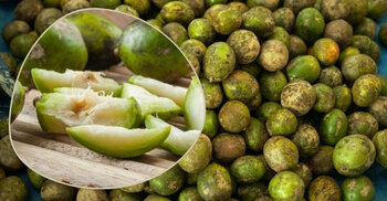 হাড় ও দাঁত রক্ষা করবে এই মৌসুমি ফল