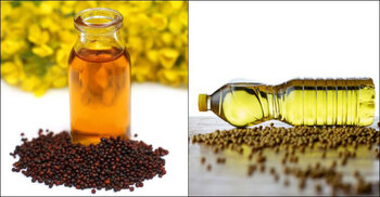 সয়াবিন নাকি সরিষা, প্রতিদিনের রান্নায় কোন তেল খাবেন