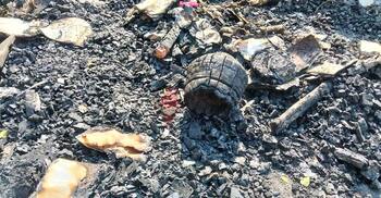 হামলা-ভাঙচুরে লণ্ডভণ্ড ছায়ানট