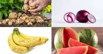 ফ্রিজে রাখবেন না যেসব খাবার