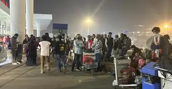 শাহজালাল বিমানবন্দরে মৌমাছির মতো হামলে পড়ে মশা