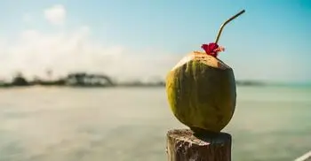 প্রতিদিন স্যালাইন বা ডাবের পানি পান করা কি আদৌ নিরাপদ