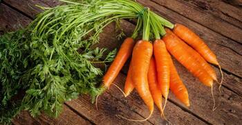 প্রতিদিন একটি গাজর খেলে ফল পাবেন স্বাস্থ্যে ও ত্বকে