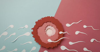 ঘুমের অভাবে কমে যেতে পারে শুক্রাণুর কোয়ালিটি