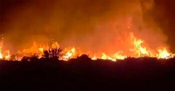 মাতারবাড়ি বিদ্যুৎকেন্দ্রে অগ্নিকাণ্ডের ঘটনায় ৭ সদস্যের কমিটি