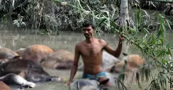 ৯১ সালের ঘূর্ণিঝড়ের ক্ষত এখনো সারেনি, এপ্রিল এলেই আতঙ্ক বাড়ে উপকূলে