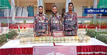 উখিয়া সীমান্তে ৩ লাখ ৮০ হাজার পিস ইয়াবা জব্দ