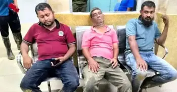 বনের জমিতে পানের বরজ, উচ্ছেদে গিয়ে রক্তাক্ত ৫ বনকর্মী