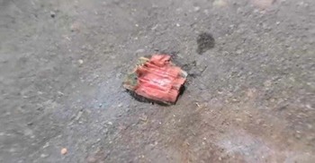 Crude bombs blast outside BNP central office in Naya Paltan