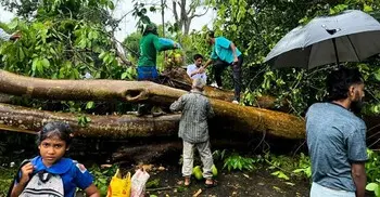 রাঙ্গুনিয়ায় চলন্ত অটোরিকশায় গাছ পড়ে চালক নিহত, আহত ৩