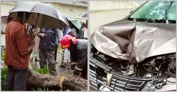ফটিকছড়িতে চলন্ত প্রাইভেটকারে হঠাৎ ভেঙে পড়লো গাছ