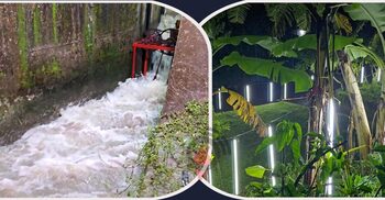 মনিরুলের বিশেষ যন্ত্রে জ্বলে অর্ধশতাধিক বাতি