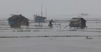 Cyclone Remal impact: Death toll reaches 37 in India’s 3 states