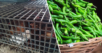 রংপুরে কমেছে মুরগি-কাঁচামরিচের দাম