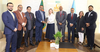DCCI, Canadian team explore expanded trade and investment ties
