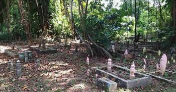 মৃত্যুসংবাদ প্রচারের বিধান