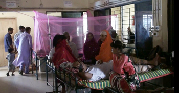 টাঙ্গাইলে আরও ৬৬ জনের ডেঙ্গু শনাক্ত