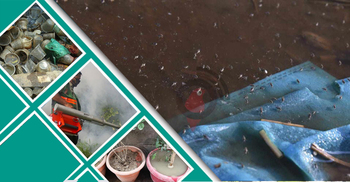 মশায় ঘায়েল মানুষ, প্রতিরোধ ‘নড়বড়ে’