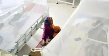 ডেঙ্গুতে আরও ৪ মৃত্যু, হাসপাতালে চিকিৎসাধীন ২৯৫৪