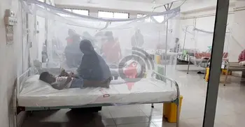 Two dengue patients die; 308 hospitalized in 24 hrs