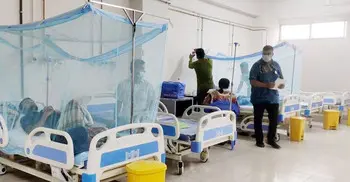 3 more dengue patients die, 829 hospitalised in last 24 hrs