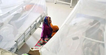 Dengue claims 6 more lives, 983 hospitalised