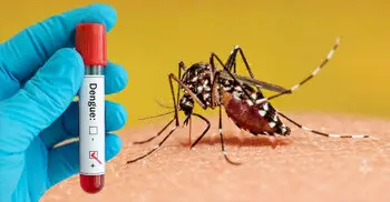 India approves its first dengue vaccine
