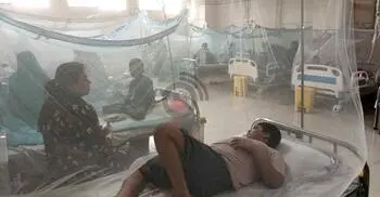 5 more dengue patients die, 344 hospitalised in 24 hrs