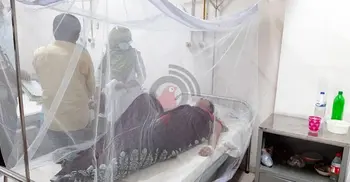 5 more dengue patients die, 570 hospitalised in 24 hrs