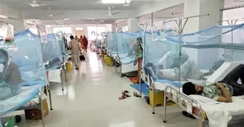 84 dengue patients hospitalized in 24 hrs
